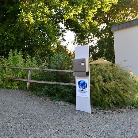 Bleus Nuit Bed & Breakfast Lierneux Dış mekan fotoğraf